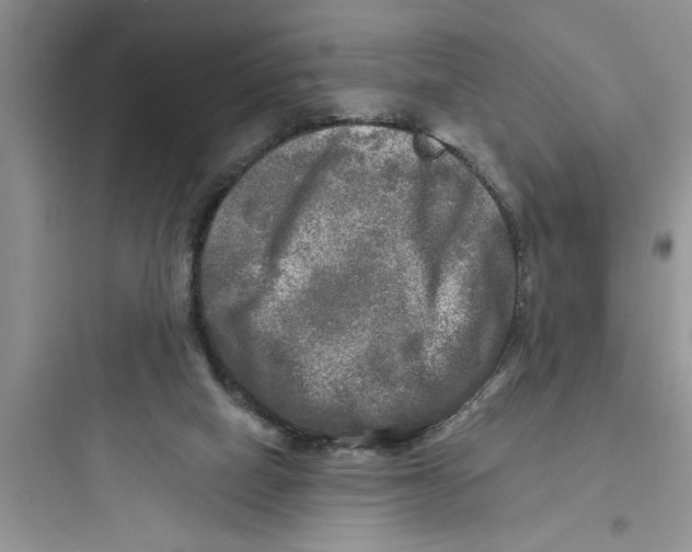 X0000097610066200803211732