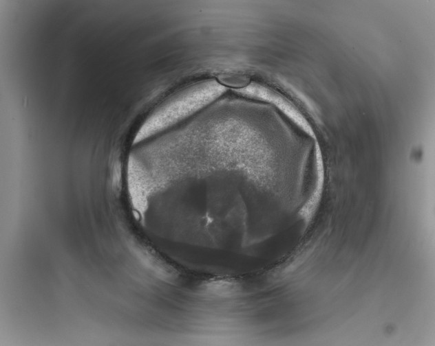 X0000097610067200803211732