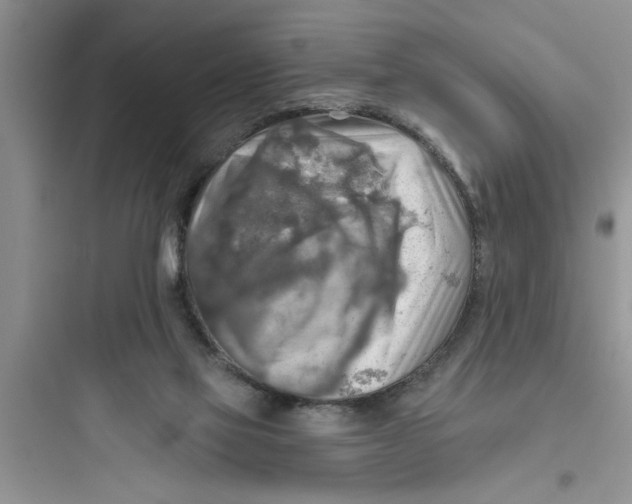 X0000097610069200803211732