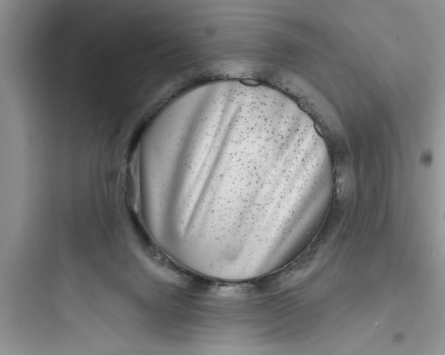 X0000097610072200803211732