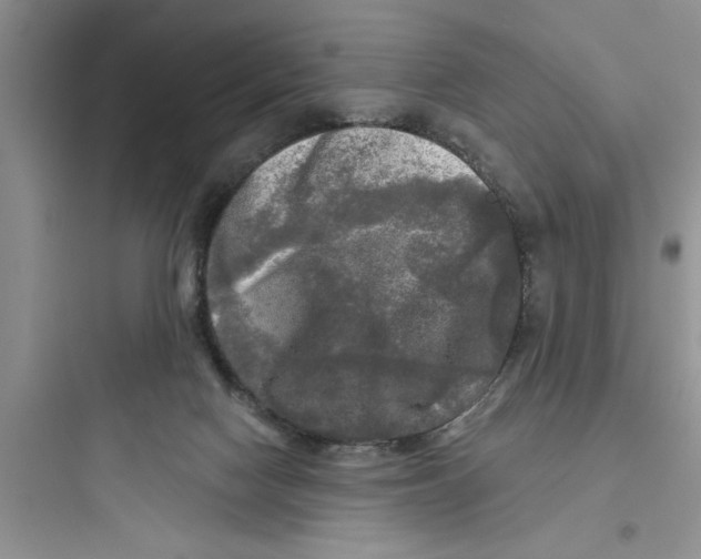 X0000097610074200803211732