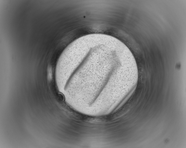 X0000097610075200803211732