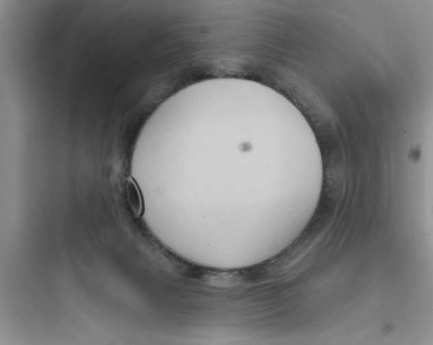 X0000097610079200803211732