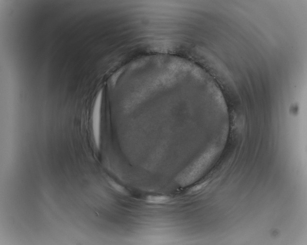 X0000097610080200803211732