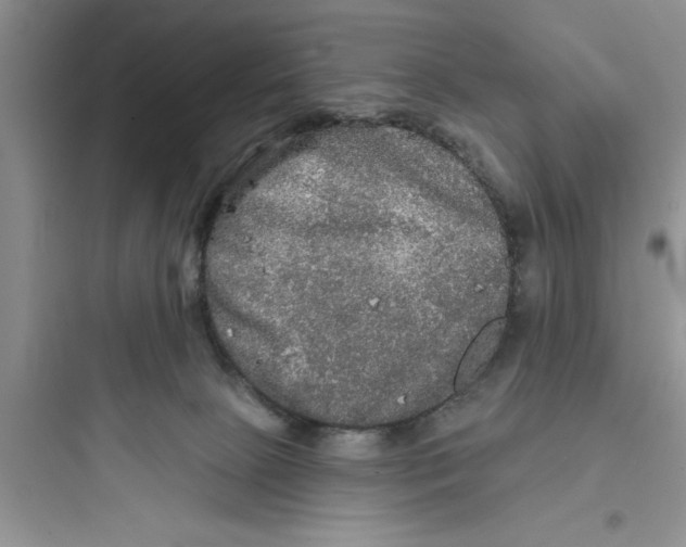 X0000097610081200803211732