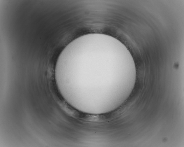 X0000097610083200803211732