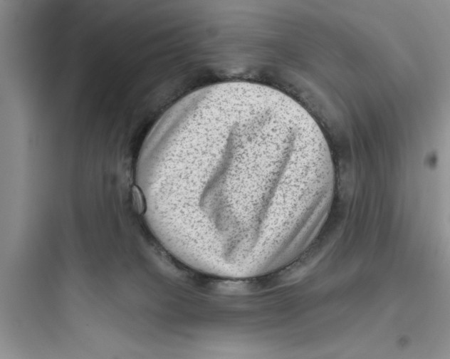 X0000097610085200803211732