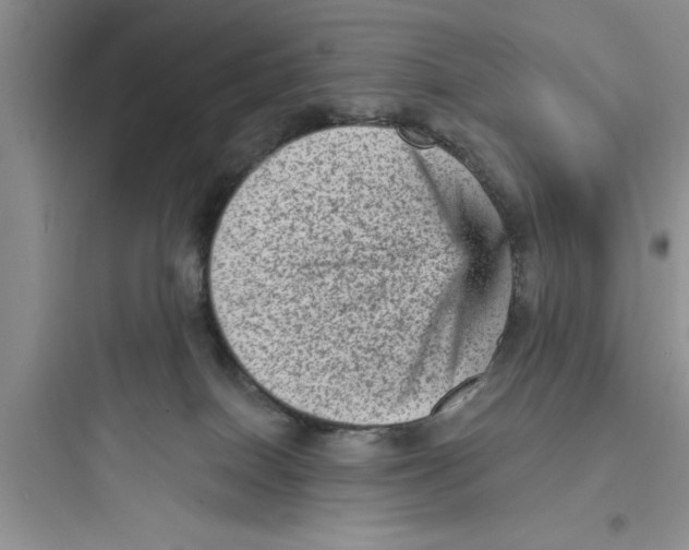 X0000097610086200803211732