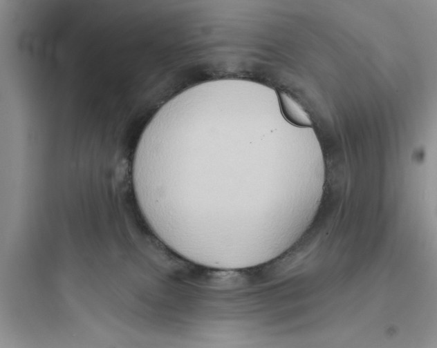 X0000097610087200803211732