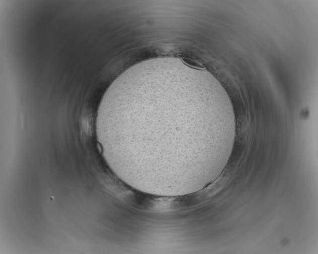 X0000097610090200803211732