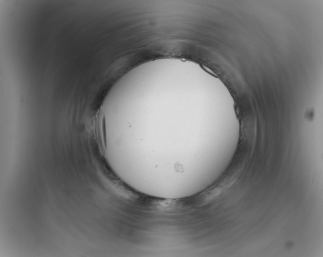 X0000097610092200803211732