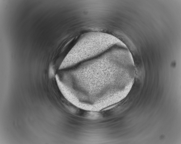 X0000097610095200803211732