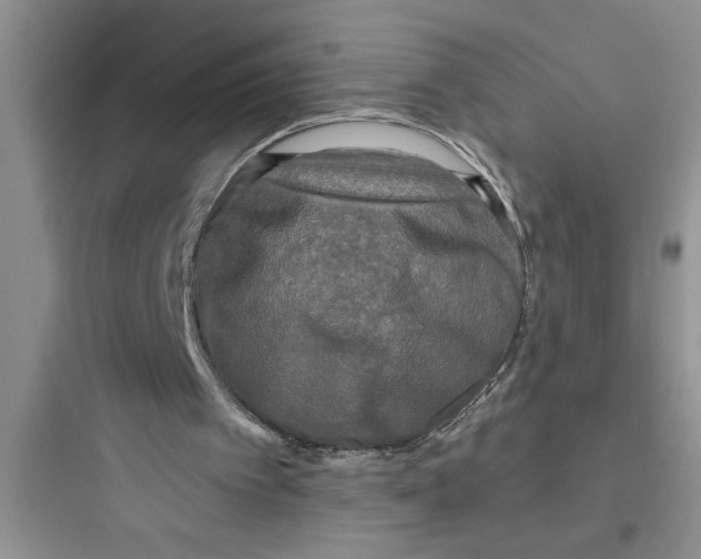 X0000097610097200803211731