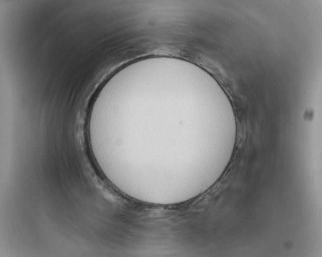 X0000097610098200803211731