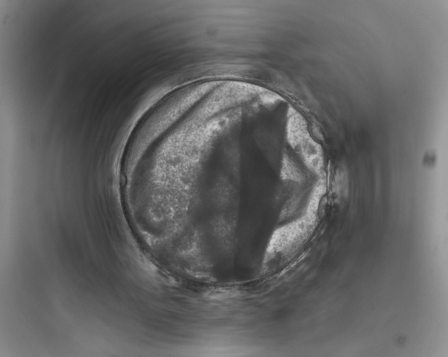 X0000097610099200803211731