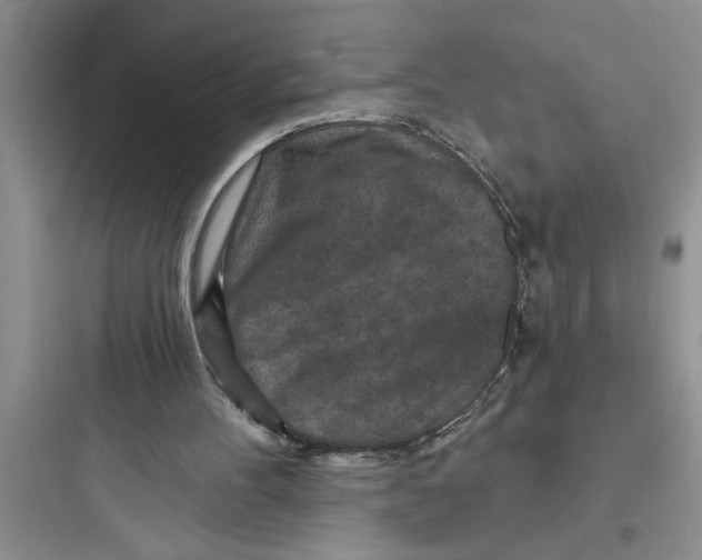 X0000097610100200803211731