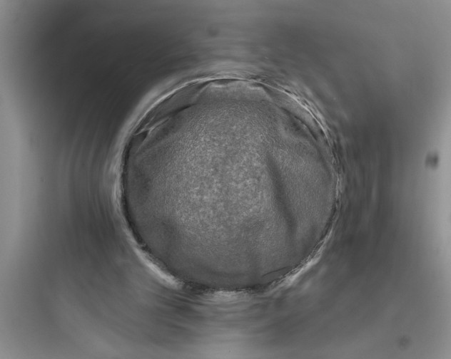 X0000097610101200803211731