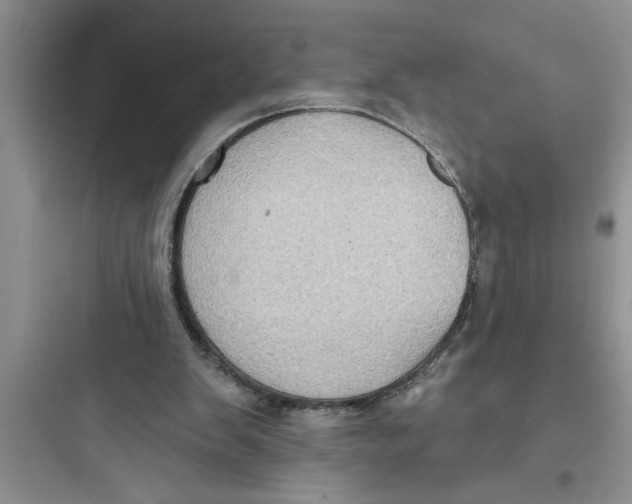 X0000097610103200803211731