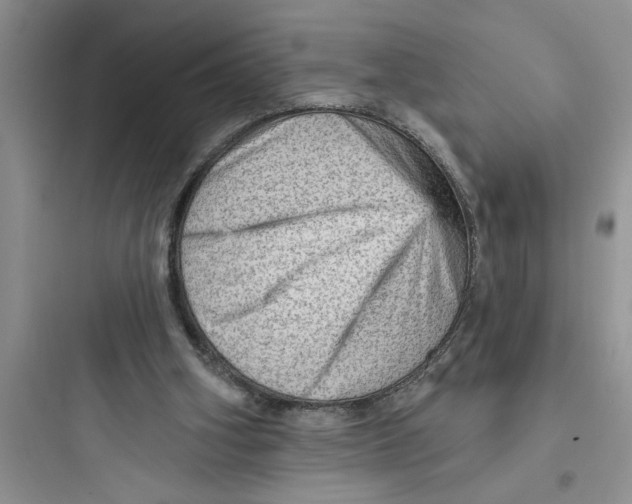 X0000097610106200803211731