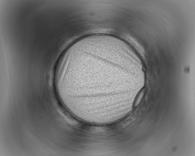 X0000097610107200803211731