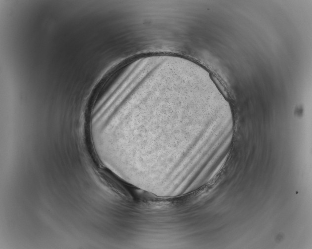 X0000097610108200803211731