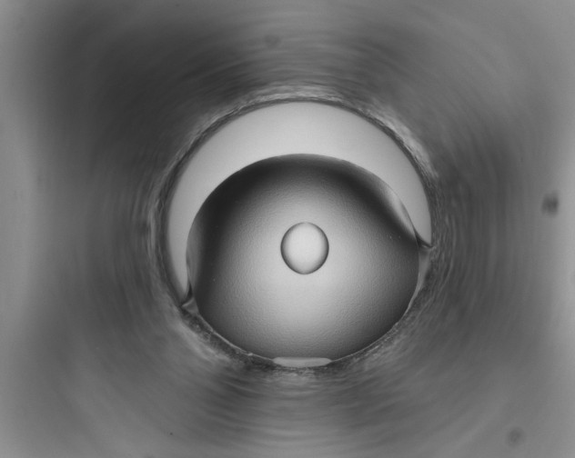 X0000097610110200803211731