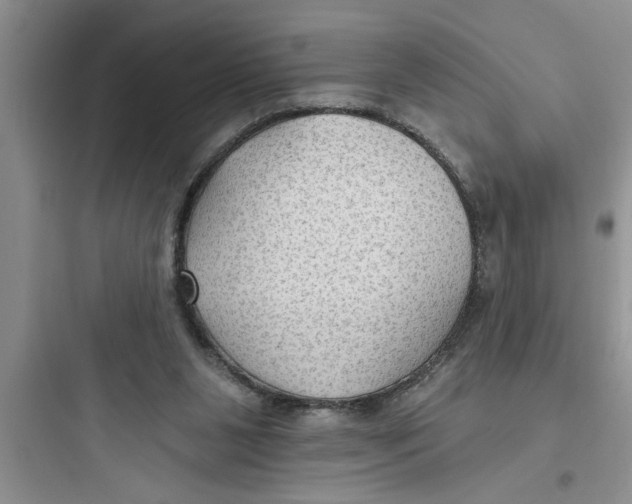 X0000097610111200803211731