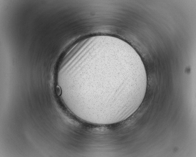 X0000097610112200803211731