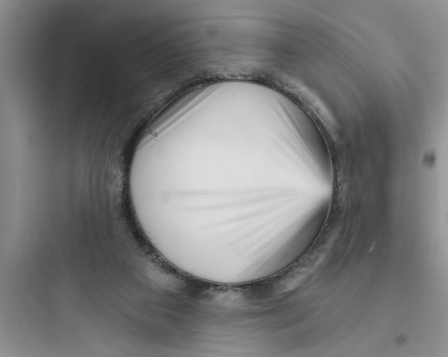 X0000097610113200803211731