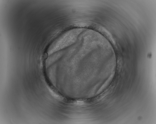 X0000097610114200803211731