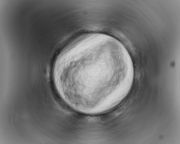 X0000097610115200803211731