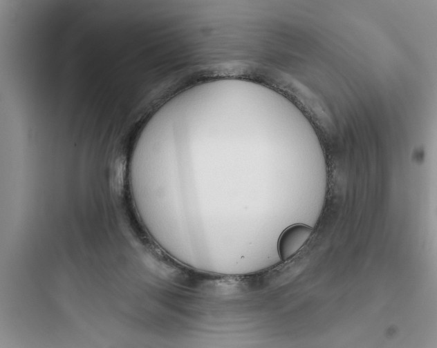 X0000097610118200803211731