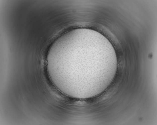 X0000097610119200803211731