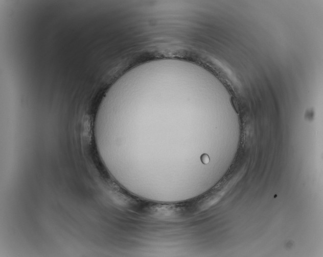 X0000097610121200803211731