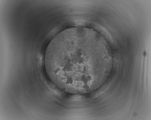 X0000097610123200803211731