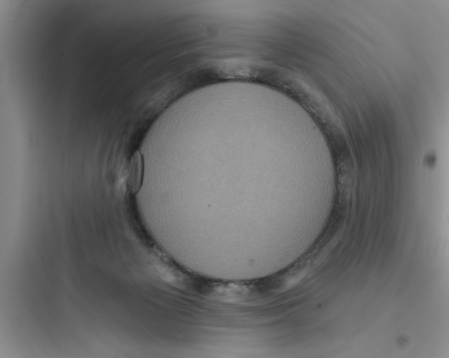 X0000097610125200803211731