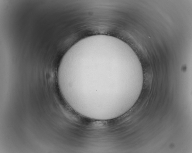 X0000097610126200803211731