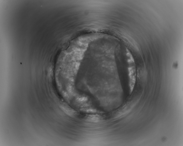 X0000097610127200803211731