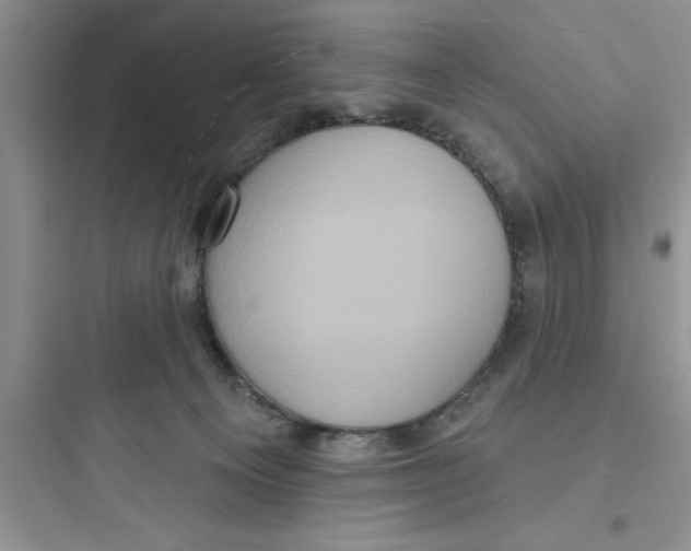 X0000097610129200803211731