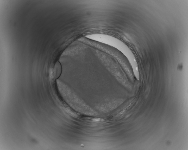 X0000097610130200803211731