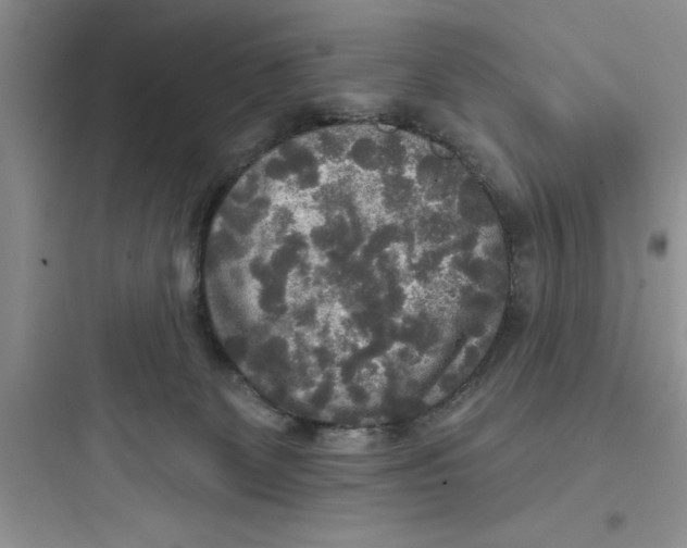 X0000097610131200803211731