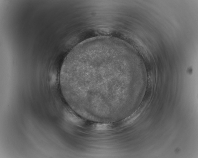 X0000097610134200803211731