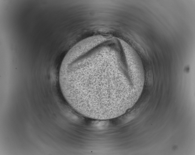 X0000097610135200803211731