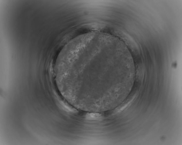 X0000097610137200803211731