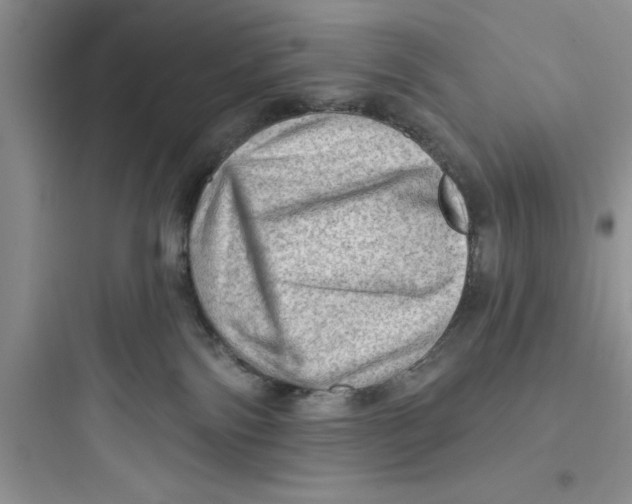 X0000097610138200803211731