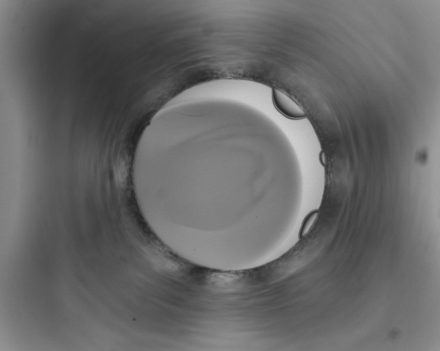 X0000097610139200803211731