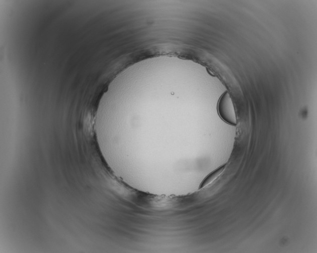 X0000097610142200803211731