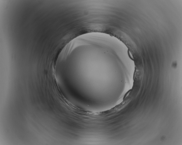 X0000097610143200803211731