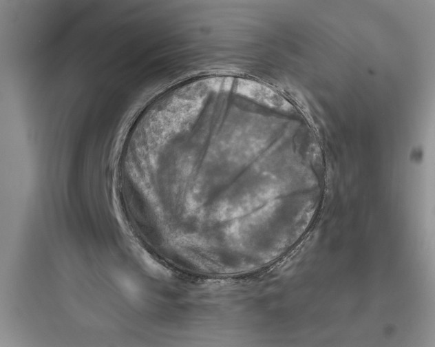 X0000097610145200803211730