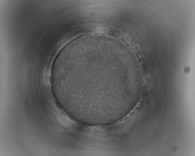 X0000097610146200803211730